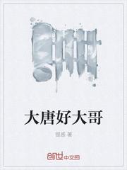 大唐好舅哥