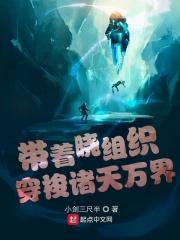 从火影开始签到免费阅读