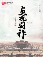 贞观历史