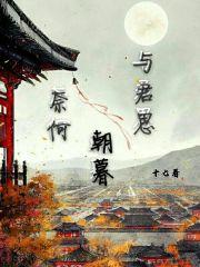 奈何相逢不识君的意思