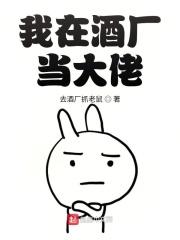 在酒厂当hr那些年作者晚桉