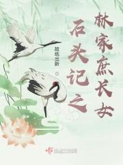石头记之林家庶长女主角是谁
