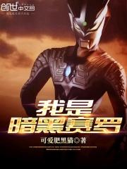 黑暗赛罗系统