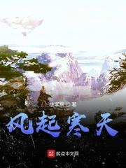 风起寒阳是什么意思