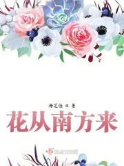 从南方来 歌词