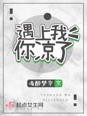 我遇见了你是什么歌的歌词