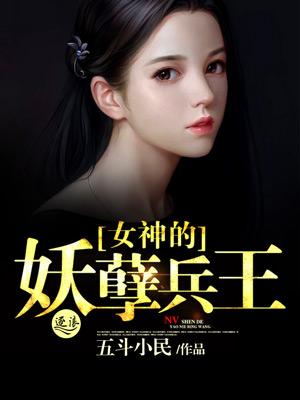 女神的妖孽高手2