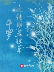 斗罗之辅助升级系统无弹窗