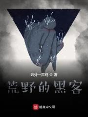 黑暗荒野吧