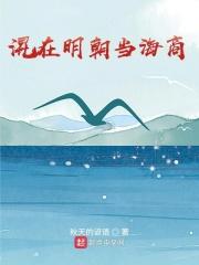 混在明朝当海商的