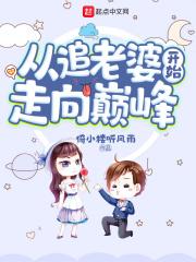 从追老婆开始走向巅峰免费读
