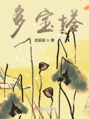 多宝塔碑现在在哪