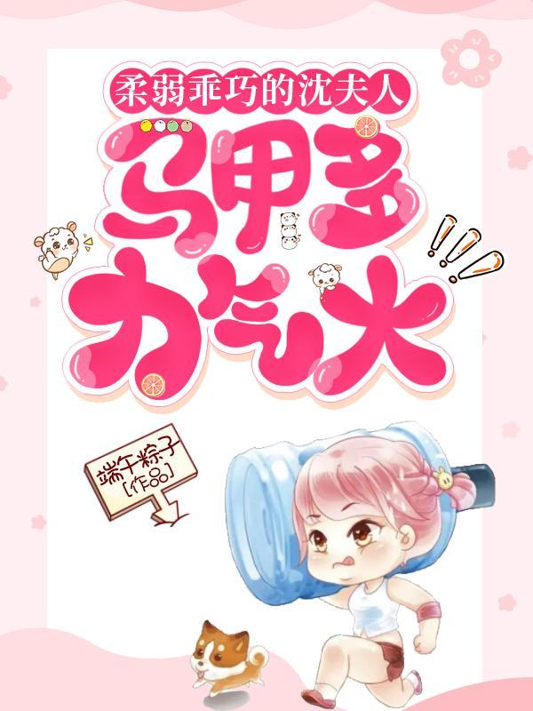 沈夫人将军