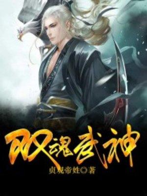 双魂武神在线观看