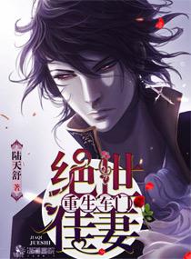 重生之军门男妻