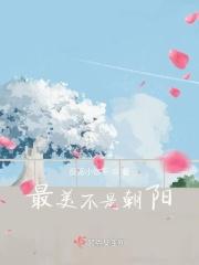 最美的不是日落