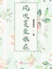 风吹夏日