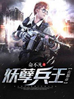 妖孽兵王在都市主角关系表