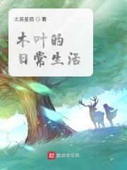木叶资料