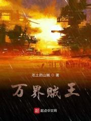 万界偷盗系统无弹窗免费阅读