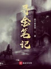 寻金记500字