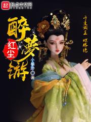 红尘醉梦游评分
