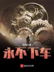 永不下车阳电
