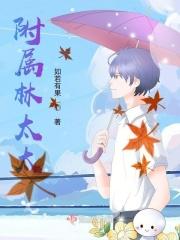 台湾林太太