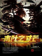 木叶之寸芒笔趣阁