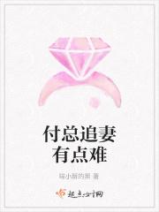 傅总的追妻火