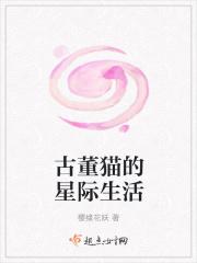 古董猫是什么意思