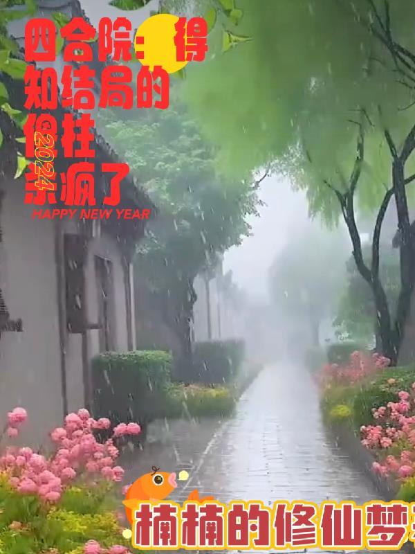 四合院傻柱最后结局