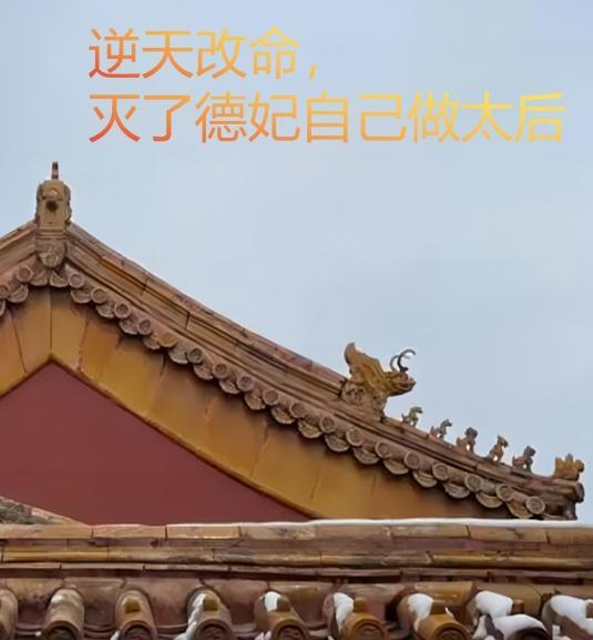 德妃娘娘美若天仙[清穿