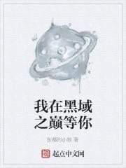 我在黑夜里等你全文免费阅读无弹窗
