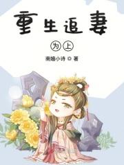 重生追妻合集