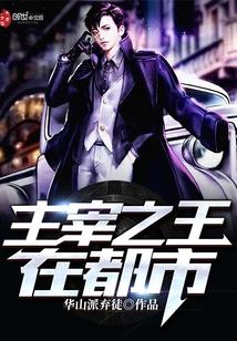 主宰之王无弹窗
