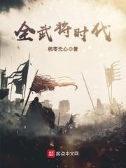 全武将时代讲了什么