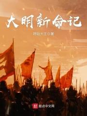 大明新命记无弹窗