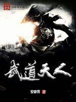 武道天人境相当于修真什么境界