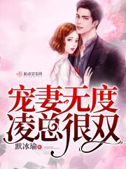 宠妻无度姜玲珑全本txt