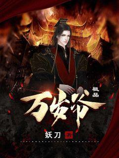 极品万岁爷无弹窗