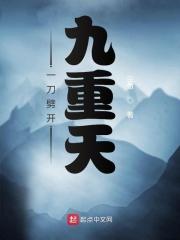 一刀劈开九重天TXT