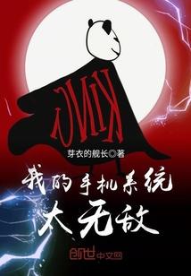 华为手机有两个系统怎么切换