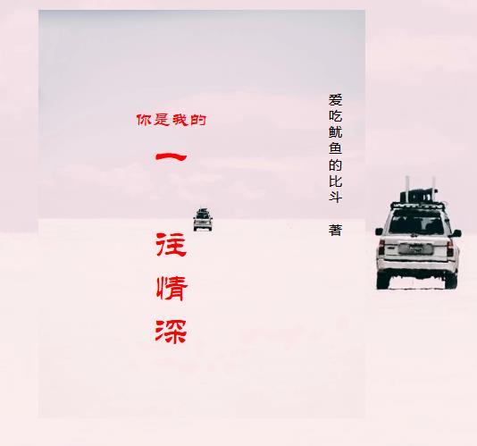 你是我的情深不悔免费阅读