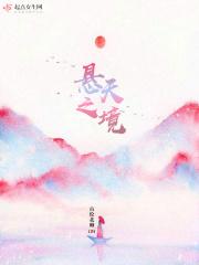 悬置之境