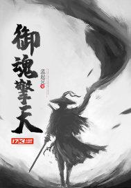 级魂御天
