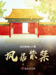凤舞紫禁