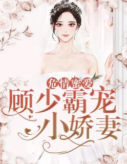 顾少霸宠小医妻免费阅读