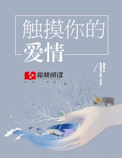 触摸你的脸是什么歌