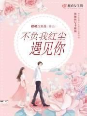 不负红尘歌曲